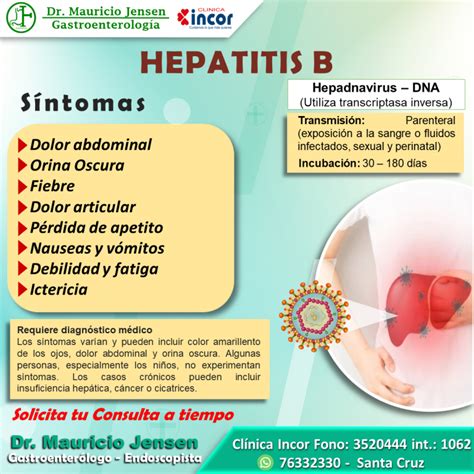 hepatitis b sintomas - cardi b nua